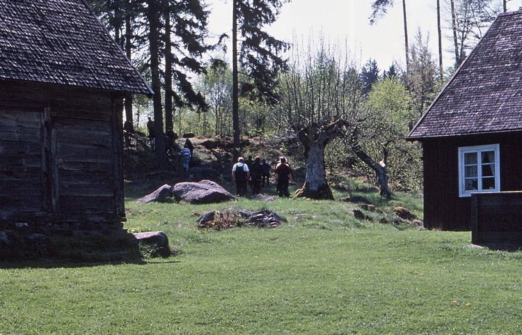 980505_035